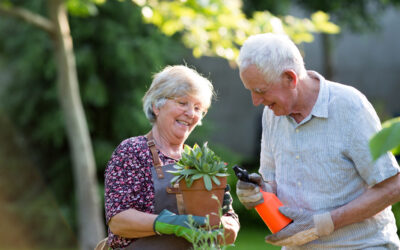 John’s World: IT’S NOT GOING AWAY –  MIGHT AS WELL MAKE SOME MONEY SELLING IT