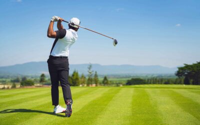 John’s World:  A Few Ideas to SPRING to